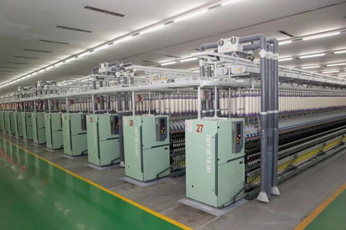 杜小剛調(diào)研企業(yè)運(yùn)行與新建高校發(fā)展，強(qiáng)調(diào)技術(shù)開發(fā)與人才培養(yǎng)雙輪驅(qū)動